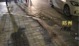 郑州车祸爆料最新消息,多车相撞事故致多人伤亡，救援正在进行