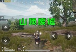 瓜哥吃鸡端游下载安装免费,免费下载，畅享刺激战场体验