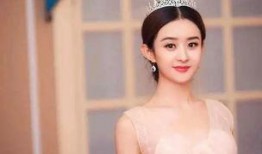 赵丽颖天涯真实爆料视频,娱乐圈背后的真相与争议